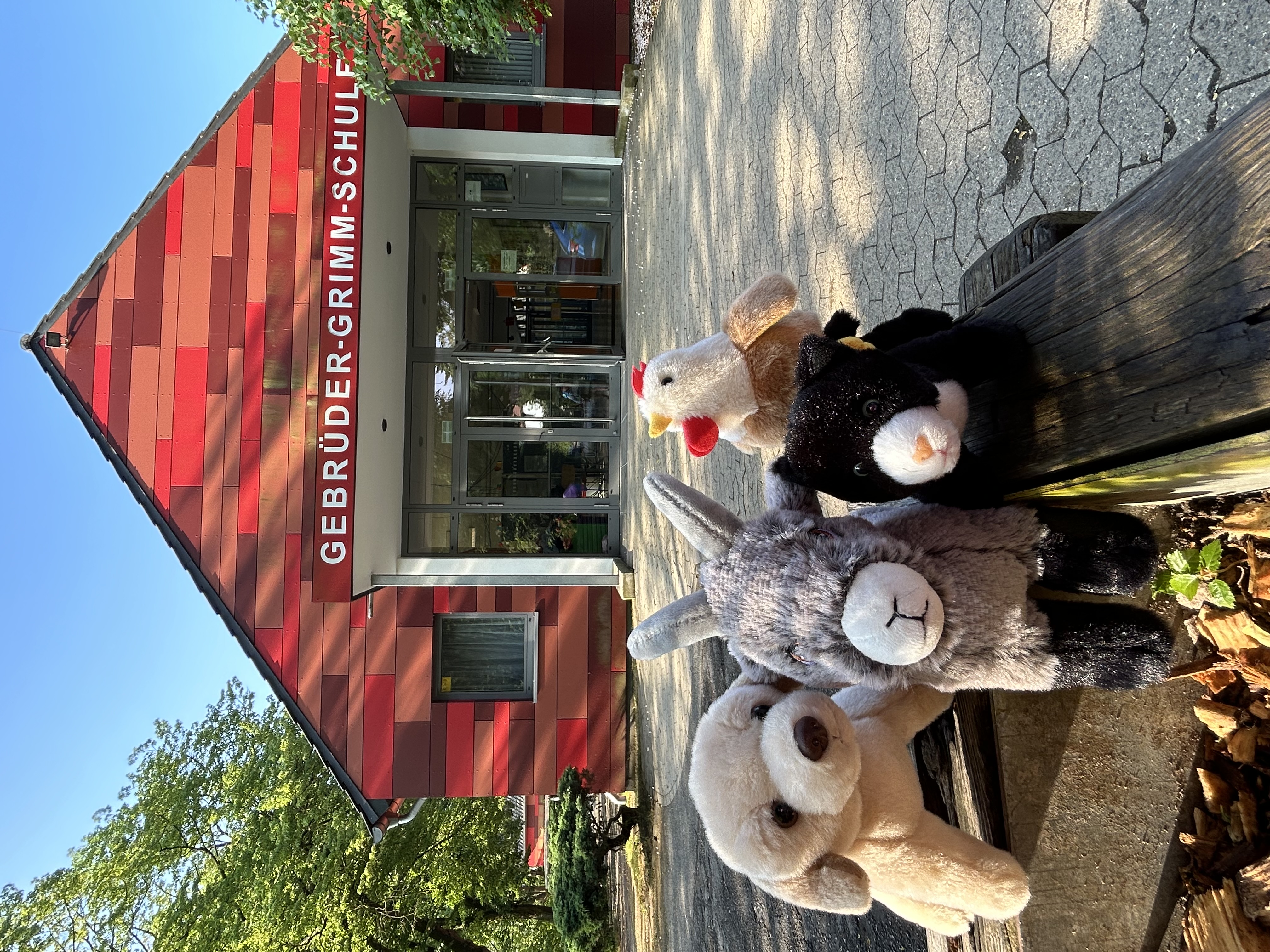 Gifhorner Stadtmusikanten der Gebrüder-Grimm-Schule